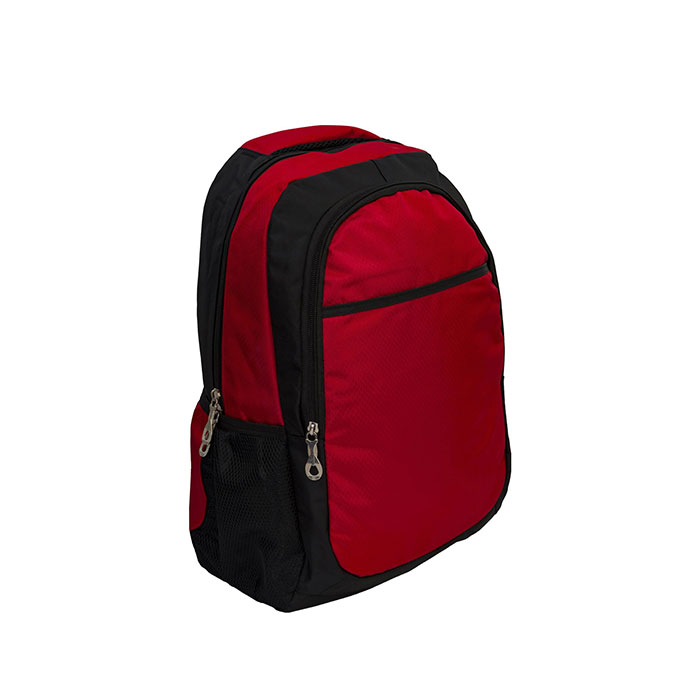 EXCLUSIVE LAPTOP BACKPACK BAG