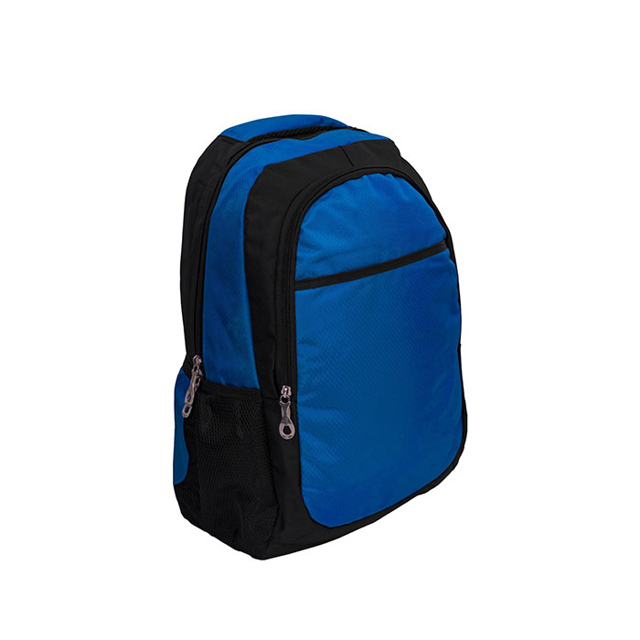 EXCLUSIVE LAPTOP BACKPACK BAG