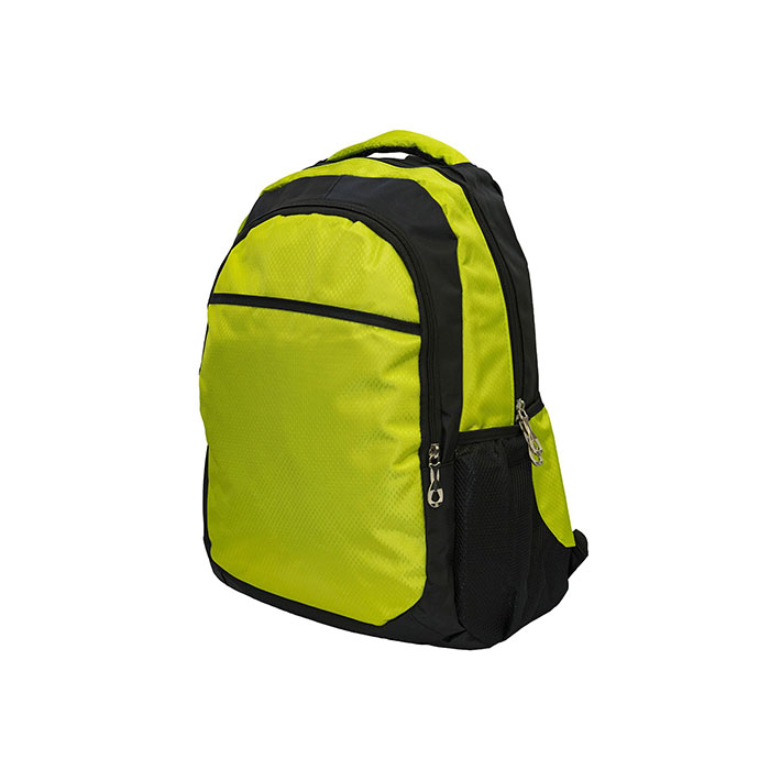EXCLUSIVE LAPTOP BACKPACK BAG