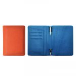 CARRY ALL PASSPORT HOLDER