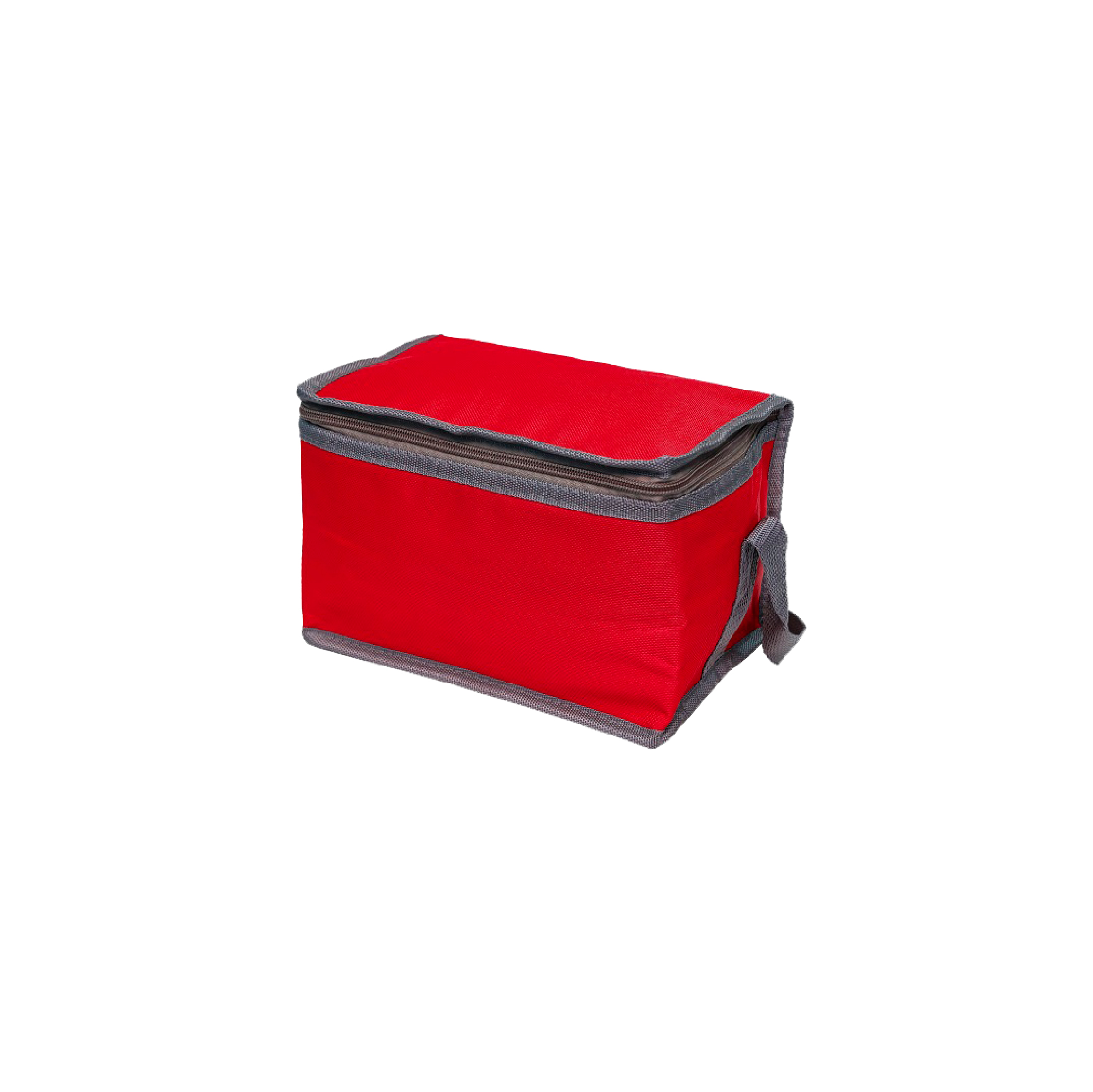 MULTIPURPOSE COOLER BAG