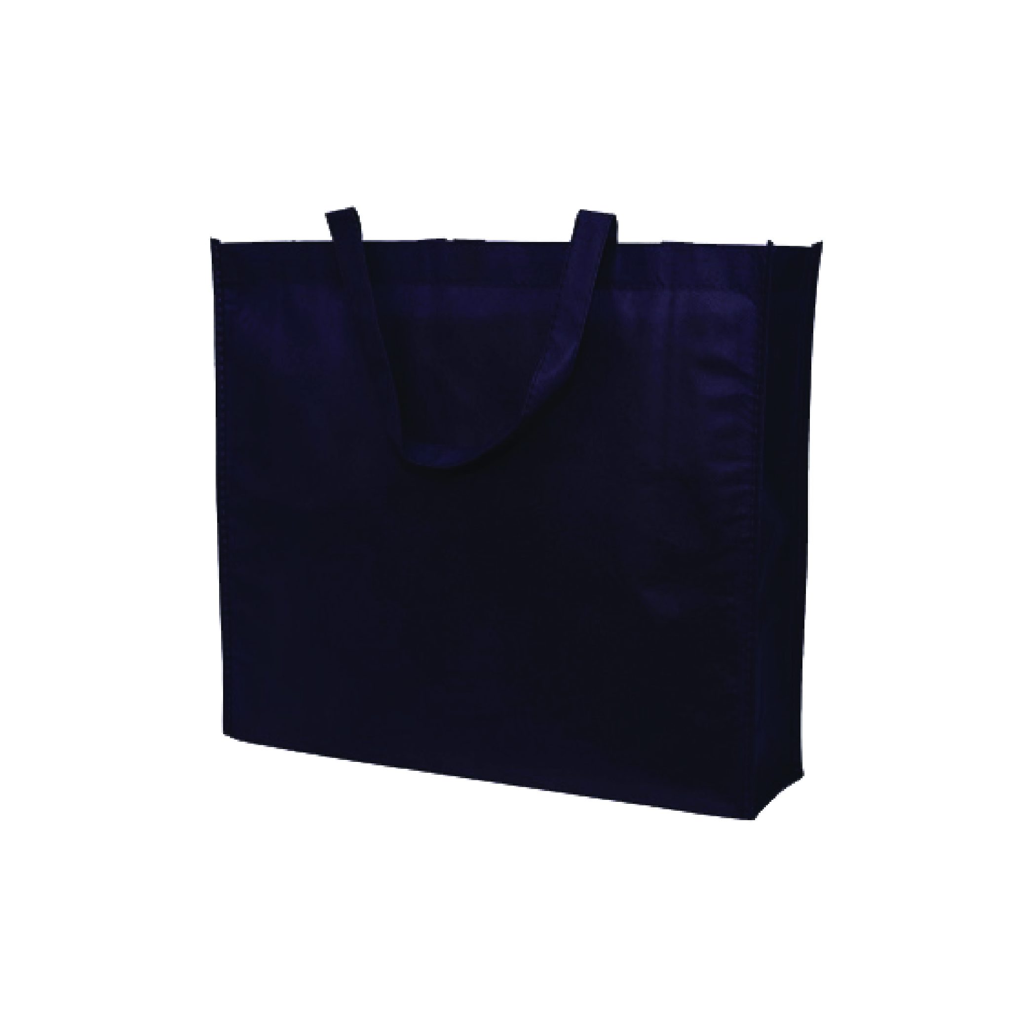 NON WOVEN BAG