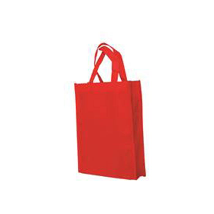 A4 SIZE NON WOVEN BAG Sagana International a4-size-non-woven-bag-sagana-international