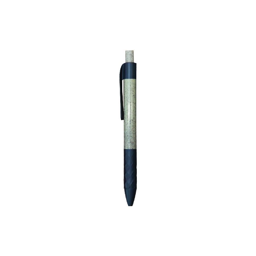 PLASTIC PEN